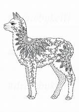 Alpaca Zentangle sketch template