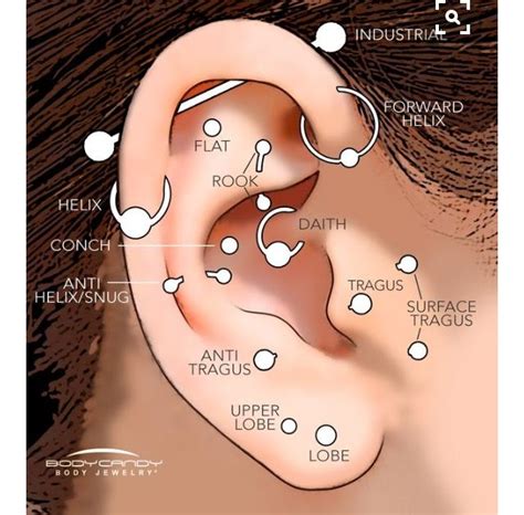Ear Piercing Names Chart