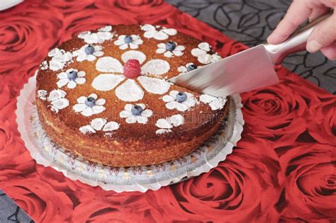 cutting  cake stock photo image  rich plate cooking