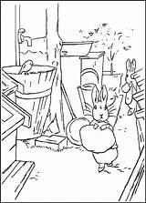 Peter Rabbit Coloring Pages Kids Movie Printable Beatrix Potter Fun Trailers Site Coloring2print sketch template