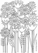 Coloring Printable Floral Pages Colouring Flower Spring Flowers Sheets Adult Adults Book Print Meinlilapark Ausmalbilder Color Kids Printables Ausdruckbare Freebie sketch template
