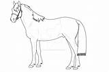Connemara Stallion sketch template