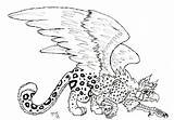 Griffin Coloring Pages Getcolorings Griffon Drawn Color sketch template