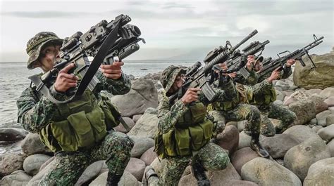 defense studies pmc  proposed  independent military branch