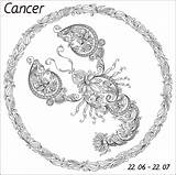 Zodiac Coloring Cancer Signs Scorpio Water Rak Antistress Depicting Consists Pisces Colorings Element Adults Three Series sketch template