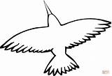 Hummingbird Colorir Asas Crow Beija Imprimir sketch template