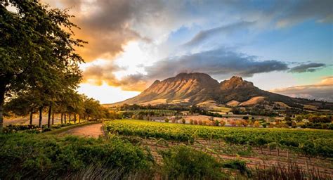 Check Out Cape Town Winelands In All Its Splendour [photos]