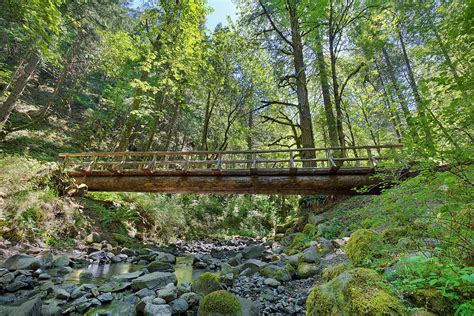 wood log bridge structure  gorton creek photograph  jit lim