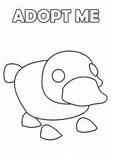 Adopt Platypus Floppy Imprime Ornitorrinco Popular sketch template