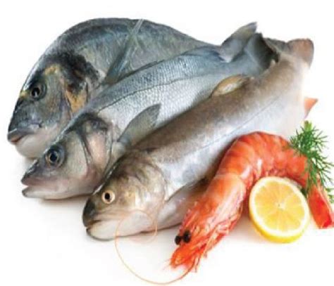 fresh fish meat  fair impex general trading fz llc fresh fish meat