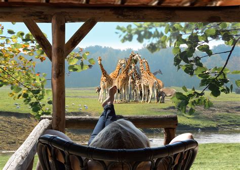 safari resort beekse bergen  hilvarenbeek de beste promos