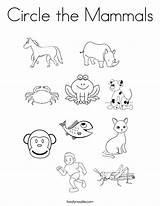 Mammals sketch template