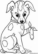 Hunde Ausmalbilder Von Zum Ausmalen Ausdrucken Bilder Und Dekoking Kostenlose Malvorlagen Mädchen Coloring Kinder Dog Vorlagen Gemerkt sketch template