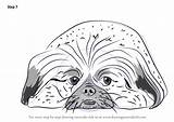Draw Pekingese Dog Step Drawing Tutorials Dogs Drawingtutorials101 sketch template
