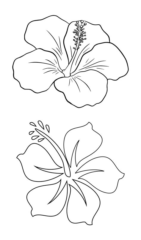 printable hibiscus flower template