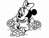 Coloring Mouse Minnie Baby Pages Popular sketch template