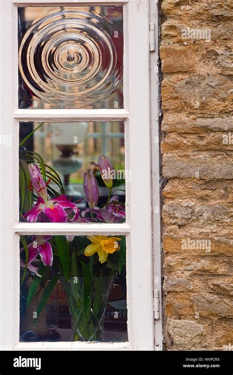 flower dispal   window stock photo alamy