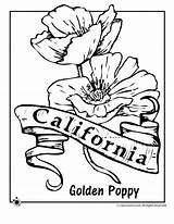 Coloring Flower State Pages Clipart Oregon California Rottweiler Jr Poppy Flowers Classroom Clipground Colorado Kids Golden Popular Woojr sketch template