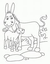 Donkey Esel Foal Donkeys Ausmalbild Letzte sketch template
