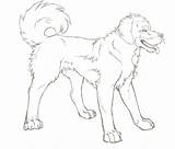 Mastiff Tibetan Wip sketch template