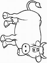 Cow Coloring Pages Color Printable Animals Print Animal Template Sheet Templates sketch template