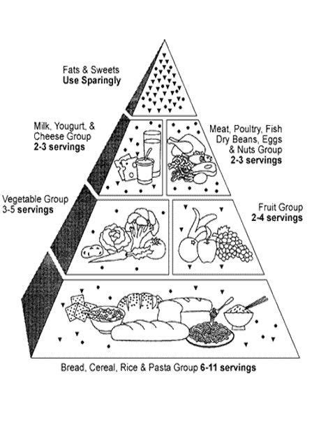 food pyramid coloring pages  kids httpfullcoloringcomfood