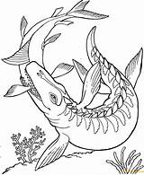 Mosasaurus Dinosaur Coloring Pages Color Online sketch template
