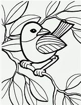 Bird Coloring Branch Printable Pages Kidscp sketch template