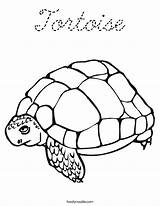 Coloring Tortoise Cursive Built California Usa sketch template