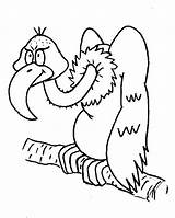 Vulture Kleurplaten Buitres Kleurplaat Colorir Avvoltoio Vogel Oiseau Coloriages Mewarnai Burung Dibujo Buitre Coloringpages Animasi Bewegende Bergerak Animaties Vogels Tucano sketch template