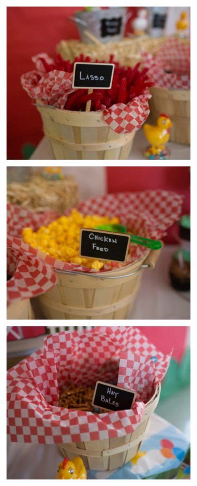 Farm Themed First Birthday Party Pretty My Party Party
