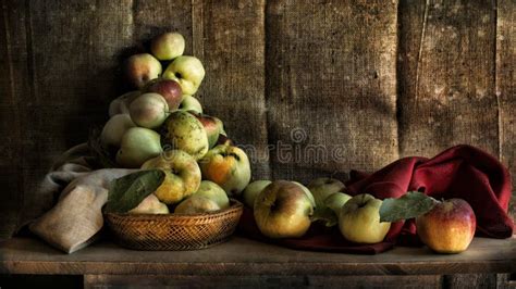 life  apples stock photo image  aged fruit