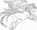 Coloring Pegasus Pages Kids Adults Popular Coloringhome sketch template