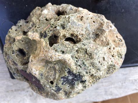 roches magmatiques roche  petrographie geoforum