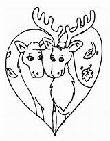 Deer Alce Caribou Alces Animais Hirsch Reh 1555 Coloriages Atividades Everfreecoloring Ausmalbild Moose Milking Animaljr Letzte Apaixonados sketch template