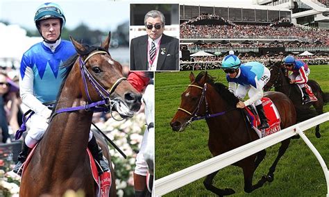 melbourne cup admire rakti mystery deepens amid rumours he