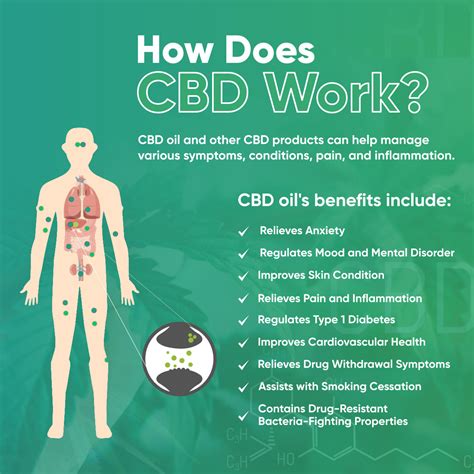 cbd oil  cbd work   soothing solutions