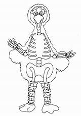Coloring Big Bird Pages Skeletal Wenchkin Yuccaflatsnm sketch template