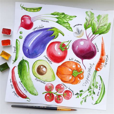 check    collection  fresh vegetables watercolor food