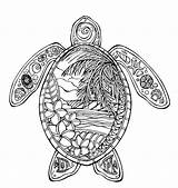 Coloring Sea Turtles Schildkröte Hawaiian Zentangel Zentangle Dover Zeichnungen Aboriginal sketch template