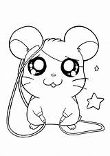 Hamtaro Colorare Fofo Picgifs Hamsters Pompom Sheets Hamster Fofos Pintar Animaatjes Colorironline Gemt sketch template