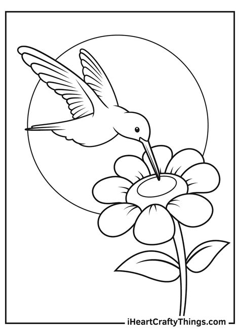 hummingbird coloring page home design ideas