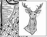 Zentangle Colouring Deer Animal Coloring Intricate sketch template