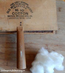 grow cotton