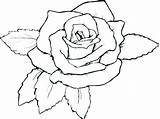 Roses Coloring Pages Rose Hearts Derrick Getcolorings Getdrawings Colorings sketch template