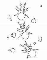 Coloring Ant Kids sketch template