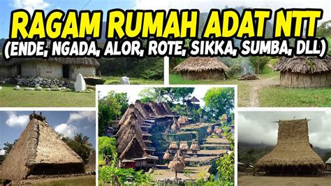 keunikan rumah adat ntt  khas ende ngada nagekeo sikka rote manggarai sumba dll