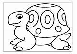 Coloring Tortoise Preschool Pages Turtle Hare Kindergarten Getcolorings Animal Color sketch template