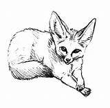 Fox Coloring Desert Pages Draw Baby Arctic Drawing Foxes Cute Clipart Animal Fennec Clip Netart Getdrawings Library Cliparts sketch template