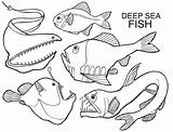 Sea Deep Coloring Pages Creatures Creature Templates Fish Animal Color Printable Kids Clipart Getdrawings Getcolorings Library Popular Kristin Hill sketch template